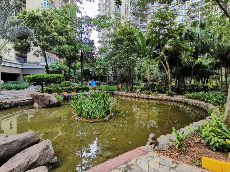 深圳星海名城三期小区信息图片12