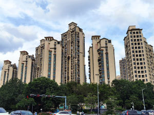 深圳东都中央王座小区信息图片