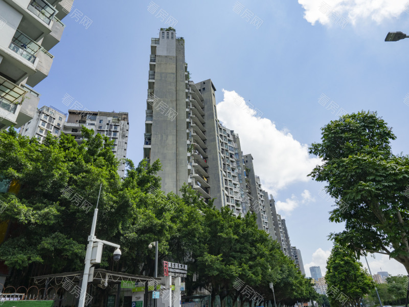 深圳万科第五园八期小区信息图片3