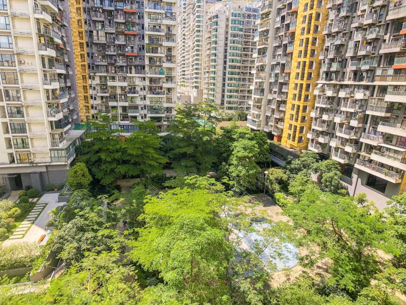 深圳花乡家园小区信息图片6