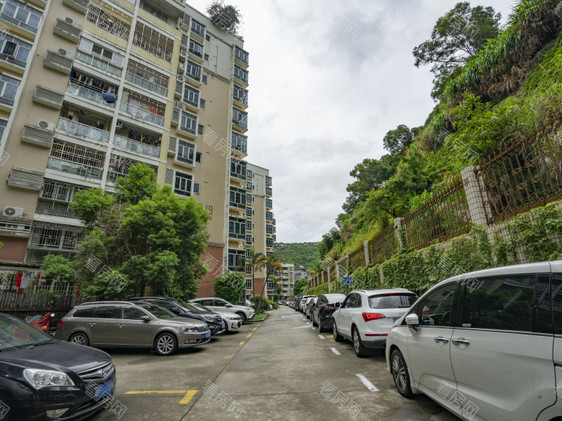 深圳梧桐山新居二期小区信息图片5