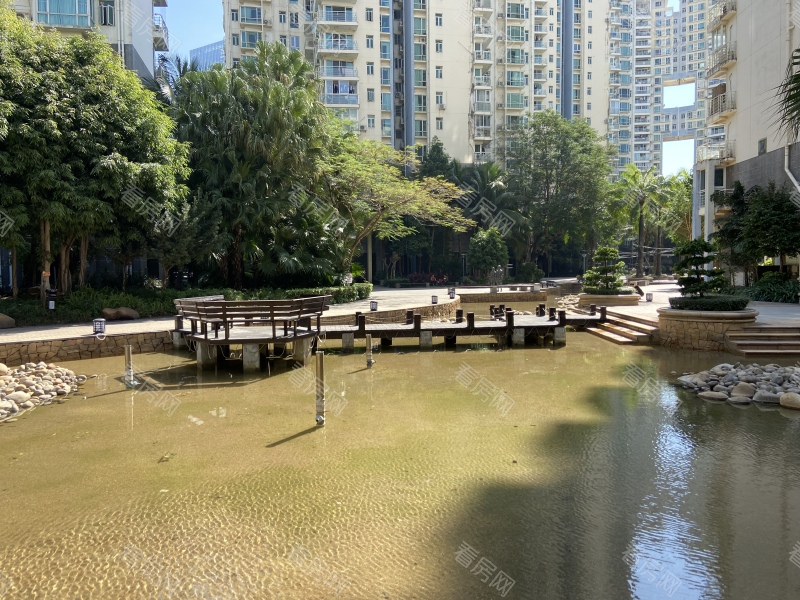 深圳蔚蓝海岸二期小区信息图片5