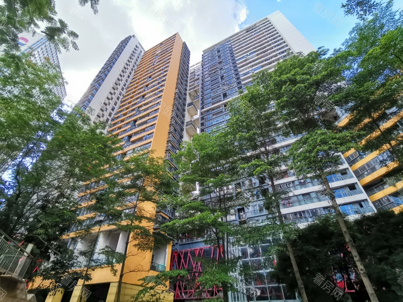 深圳星海名城五期小区信息图片4