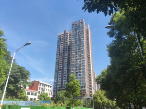 益阳雄森国际小区信息图片