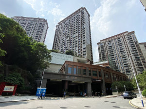 深圳兰江山第一期小区信息图片