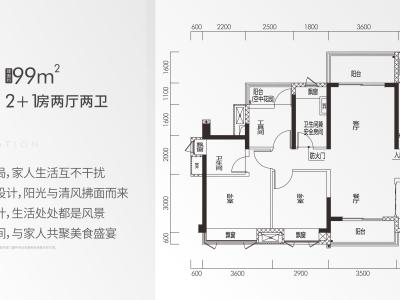 保利碧桂园学府里二区2室2厅2卫户型图2