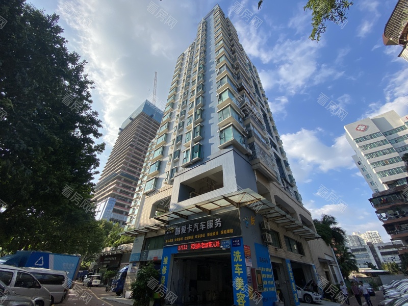 深圳金迪名苑小区信息图片5