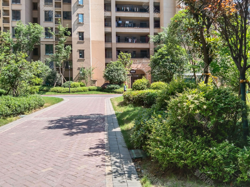 郴州金科城小区信息图片4