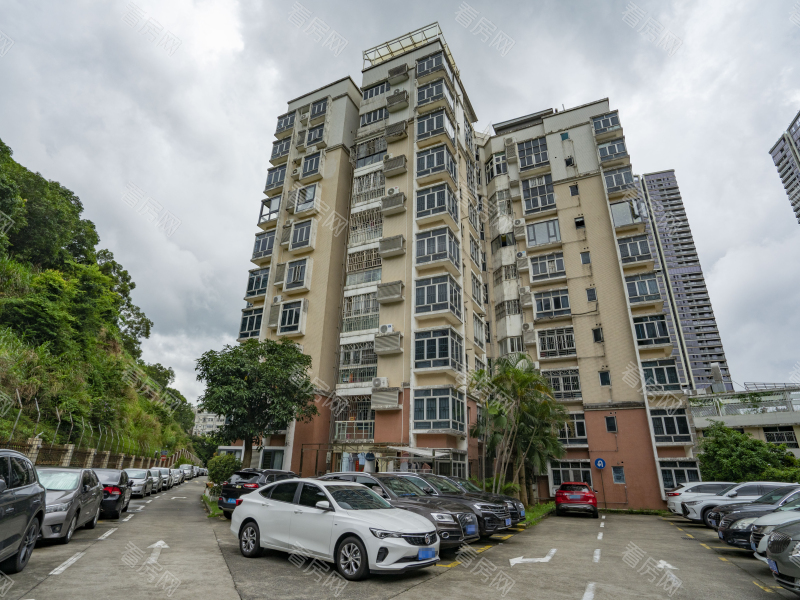 深圳梧桐山新居二期小区信息图片3