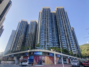 深圳山海上城二期小区信息图片