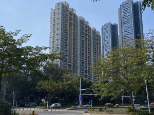 深圳燕晗花园小区信息图片