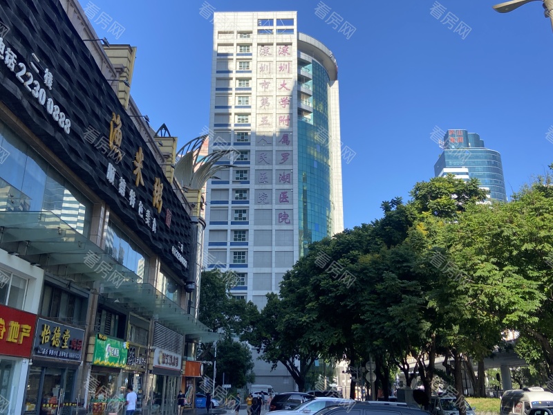 深圳罗湖医院医疗科技楼小区信息图片1