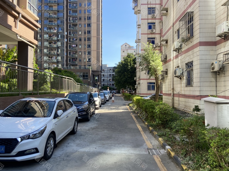 深圳立新湖花园小区信息图片8