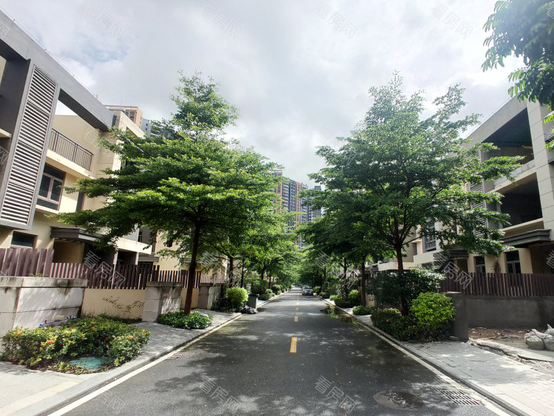 中山雅居乐万象郡二期小区信息图片4