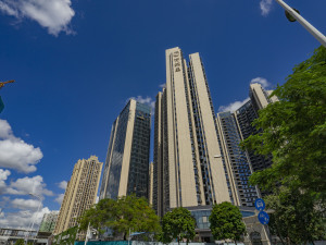 深圳华侨城荷棠里小区信息图片