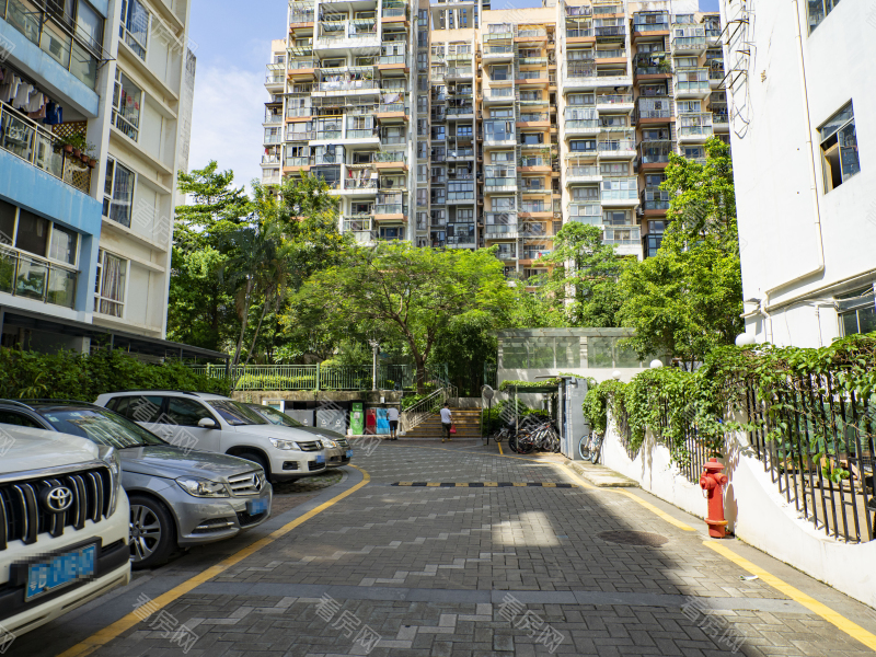 深圳雷圳碧榕湾名苑小区信息图片5