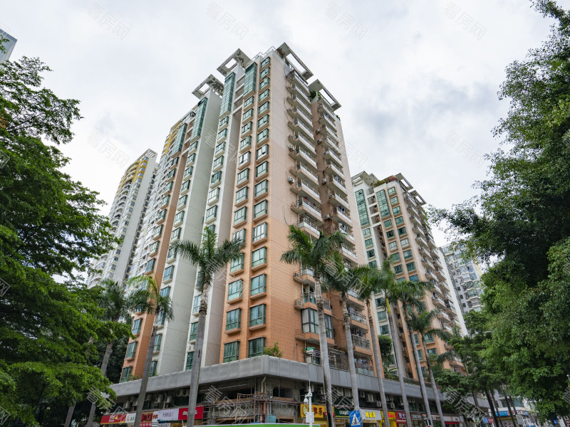 深圳缔馨园小区信息图片1