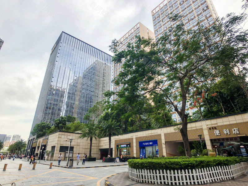 深圳财富港小区信息图片4