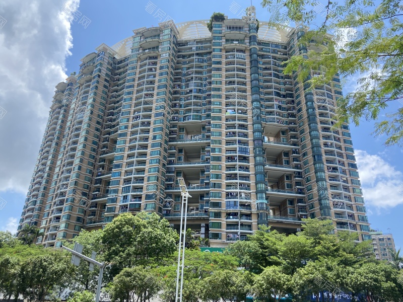 深圳金港豪庭小区信息图片4
