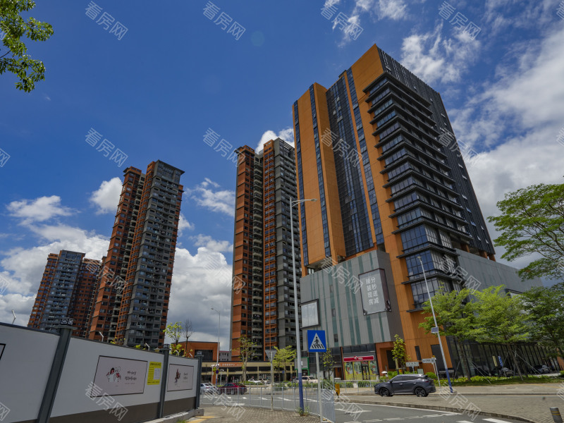 深圳豪方东园小区信息图片2