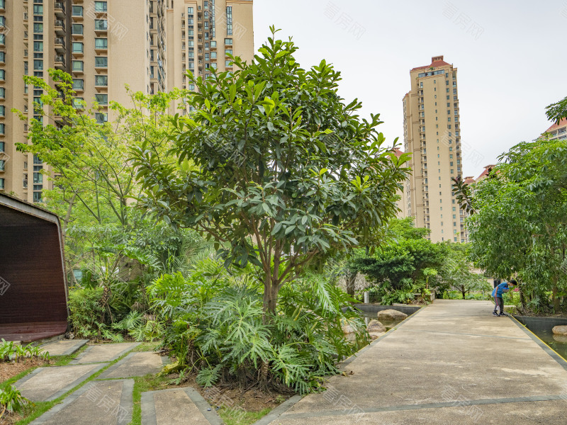 珠海仁恒星园小区信息图片15