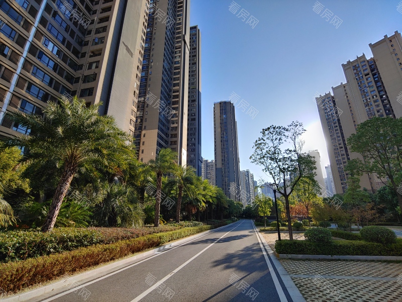 赣州云星公园大观小区信息图片5