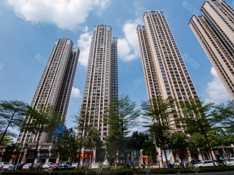 佛山滨江一号小区信息图片2