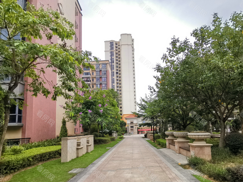 惠州宏新蜜糖小城小区信息图片5