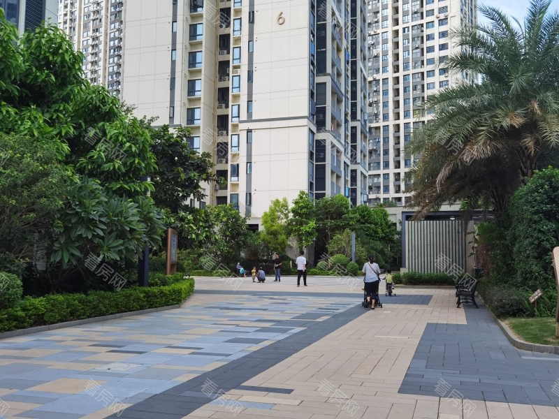 深圳金地龙城中央小区信息图片4