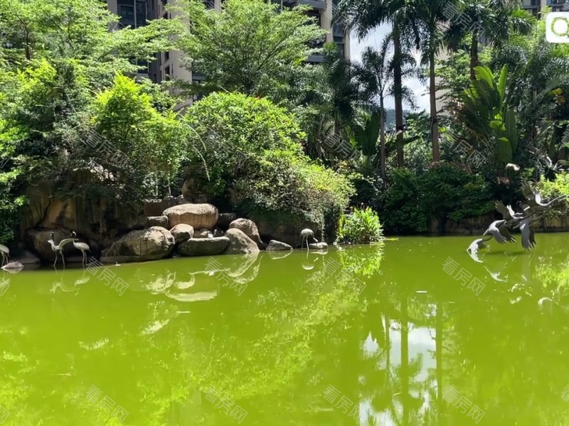 深圳佳兆业中央广场三期小区信息图片29