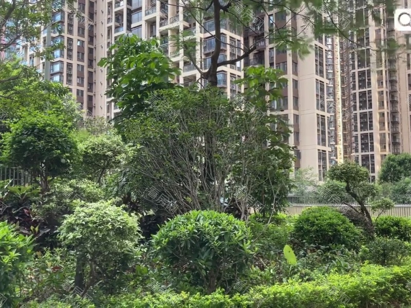 深圳信义嘉御山五六期小区信息图片29