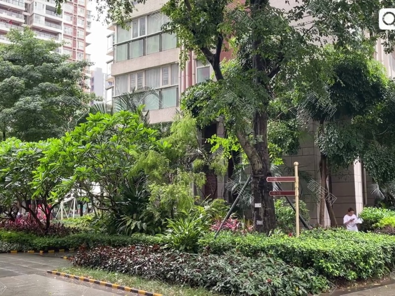 小区视频图片1