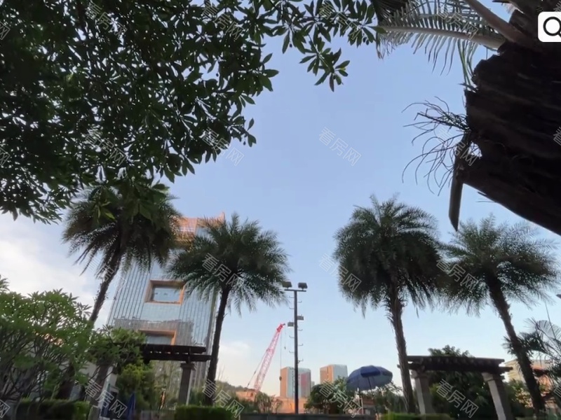 深圳招商果岭小区信息图片23