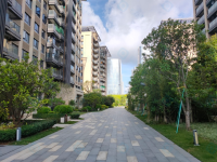 686批选239套，海德园A区今日摇号，蛇口豪宅开盘去化95_百科图片