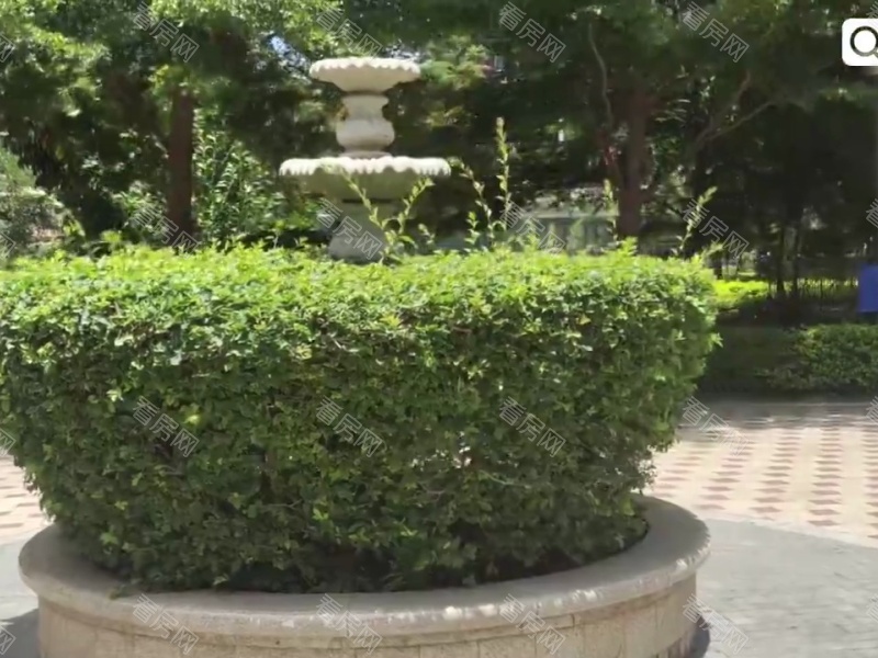 深圳金域豪庭三期小区信息图片21