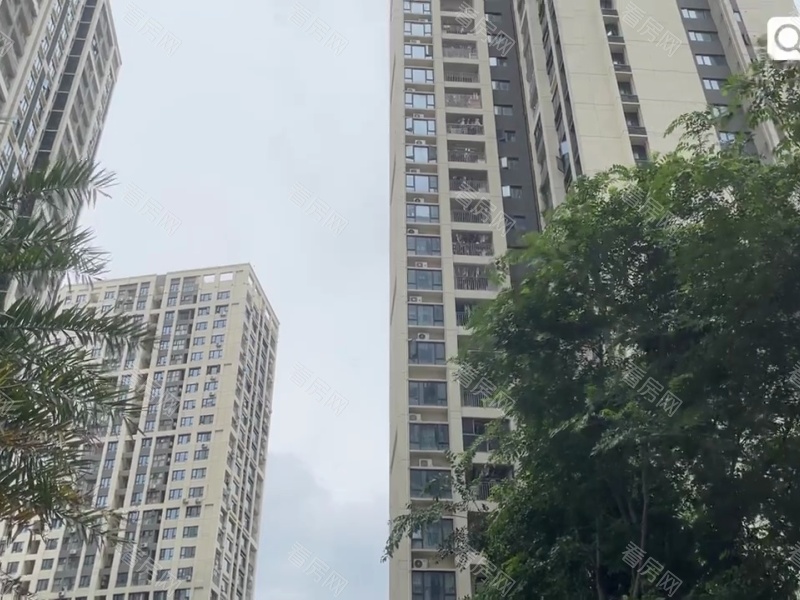 深圳金地龙城中央小区信息图片8