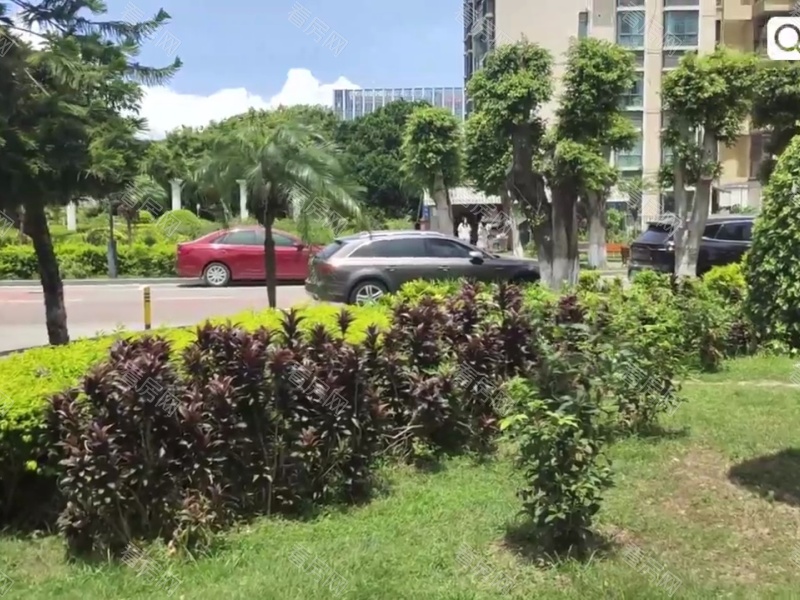 深圳金域豪庭二期小区信息图片21