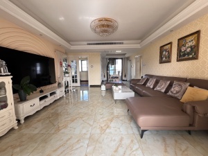 熙园山院 精装5房山景美宅 南北通透 前后双阳台深圳龙华区梅林关二手房图片