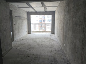 凤凰新城 3室2厅 99.7㎡ 毛坯郴州苏仙区城东二手房图片