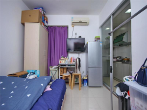 东方都会大厦 1室0厅 25.57㎡ 简装深圳罗湖区新秀二手房图片