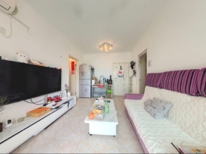 新银座大厦 罗湖口岸52平两房总价250万 新银座大厦 罗湖口岸52平两房总价250万深圳罗湖区罗湖口岸二手房图片