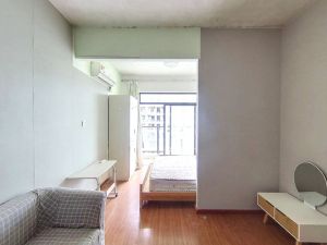 翰林金寓 1室1厅 35㎡ 精装珠海金湾区三灶镇二手房图片