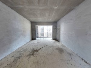 恒隆国际 4室2厅 141㎡ 毛坯_恒隆国际二手房客厅图片2