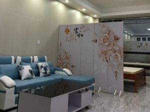 五岭国际芙蓉园 1室1厅 52㎡ 精装郴州北湖区五岭二手房图片
