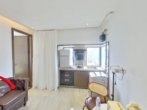 鹏公馆 全真实图片和真价格，实地可以看深圳罗湖区翠竹租房图片