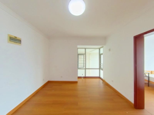 东方都会大厦 罗湖50平2房1厅，总价268万深圳罗湖区新秀二手房图片