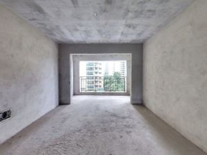 阳光美城 3室2厅 120㎡ 毛坯_衡阳蒸湘区陆家新区二手房图片