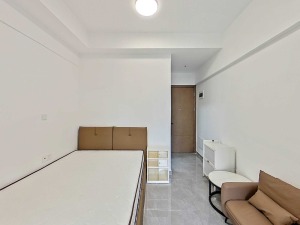 独树阳光里 罗湖布心40平1房1厅总价300万深圳罗湖区布心租房图片