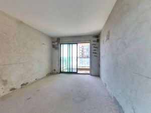 爱me公园 全新毛坯三房南北通三房出售中山坦洲镇坦洲镇二手房图片