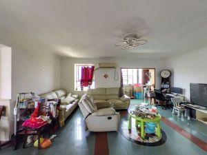 成诺雅居 周门街少有马赛克外墙高层复式，广州荔湾区周门二手房图片